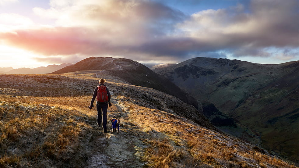 A hiker and their dog walking towards the mountain summit of High Spy from Maiden Moor at sunrise on the Derwent Fells in the Lake District, UK